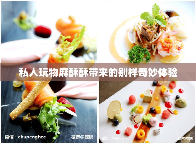 私人玩物麻酥酥带来的别样奇妙体验