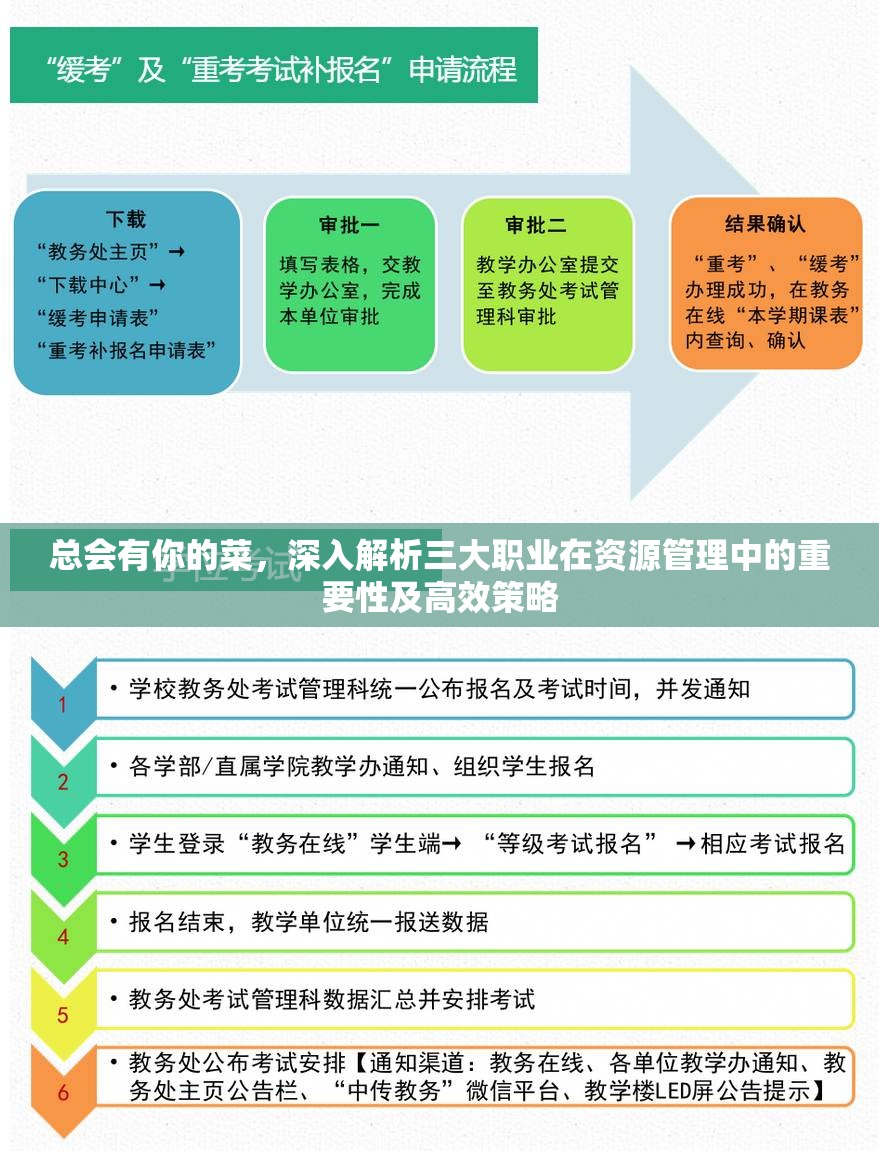 总会有你的菜，深入解析三大职业在资源管理中的重要性及高效策略