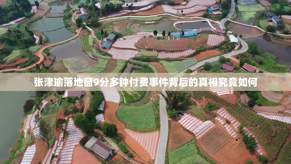 张津瑜落地窗9分多钟付费事件背后的真相究竟如何