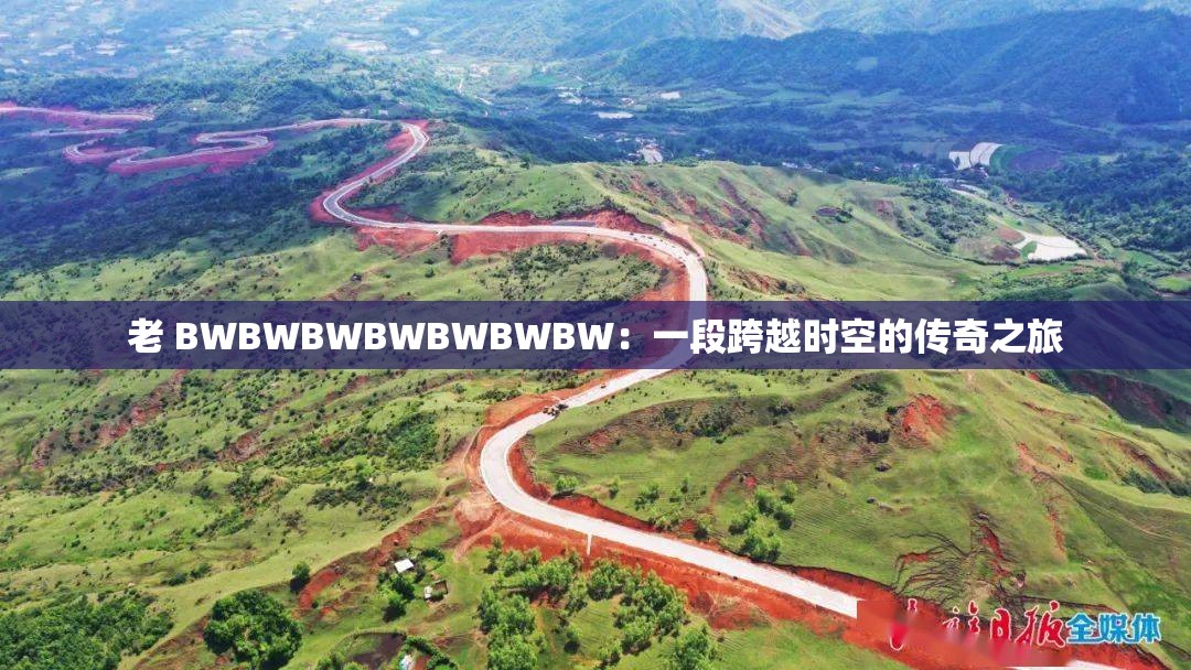老 BWBWBWBWBWBWBW：一段跨越时空的传奇之旅