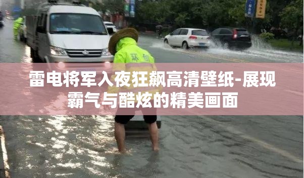 雷电将军入夜狂飙高清壁纸-展现霸气与酷炫的精美画面