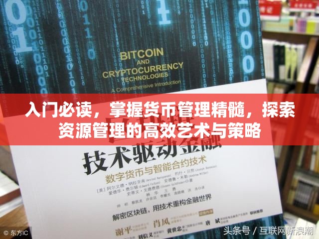 入门必读，掌握货币管理精髓，探索资源管理的高效艺术与策略