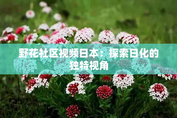 野花社区视频日本：探索日化的独特视角