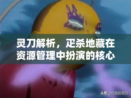 灵刀解析，疋杀地藏在资源管理中扮演的核心策略与运用解析