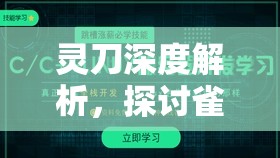 灵刀深度解析，探讨雀峰在资源管理中的核心价值与高效运用实战策略