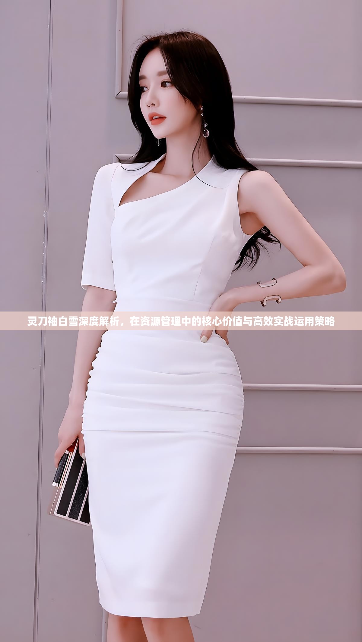 灵刀袖白雪深度解析，在资源管理中的核心价值与高效实战运用策略