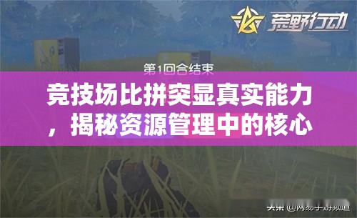 竞技场比拼突显真实能力，揭秘资源管理中的核心策略与实战应用