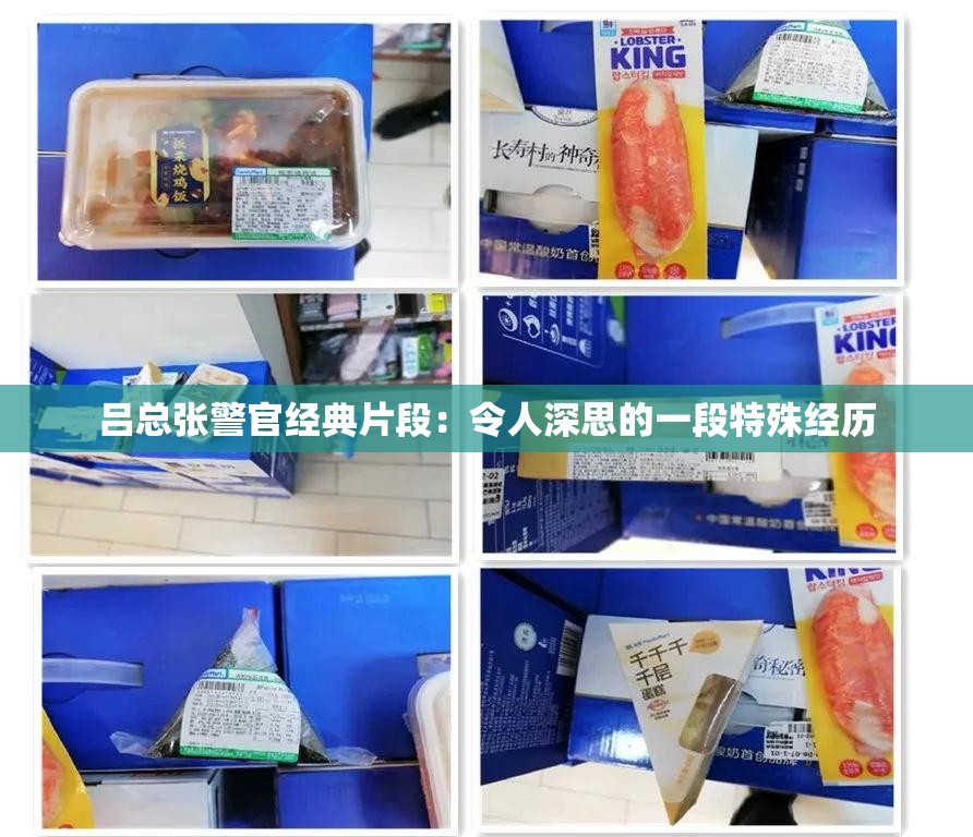 吕总张警官经典片段：令人深思的一段特殊经历