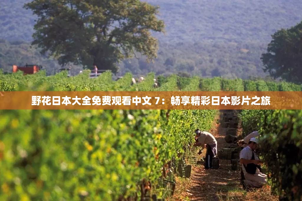 野花日本大全免费观看中文 7：畅享精彩日本影片之旅