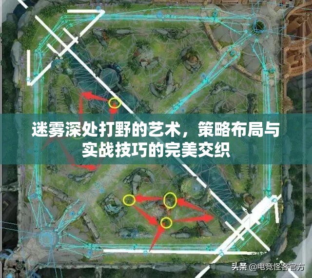 迷雾深处打野的艺术，策略布局与实战技巧的完美交织