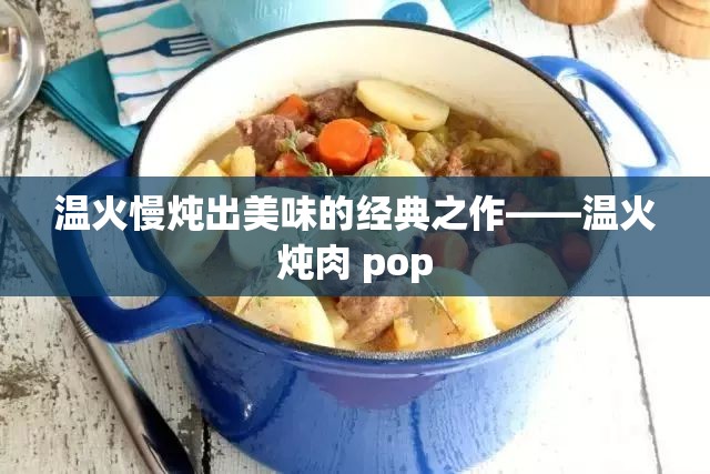 温火慢炖出美味的经典之作——温火炖肉 pop