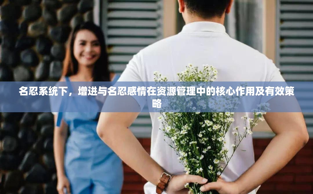 名忍系统下，增进与名忍感情在资源管理中的核心作用及有效策略