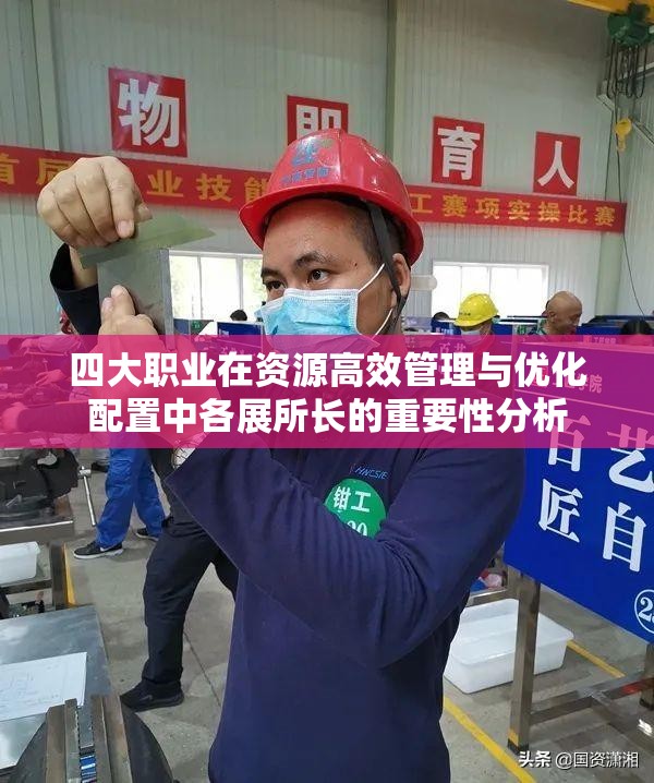 四大职业在资源高效管理与优化配置中各展所长的重要性分析