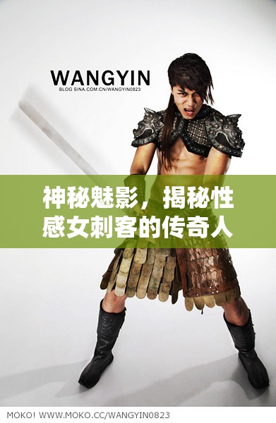 神秘魅影，揭秘性感女刺客的传奇人生与非凡篇章