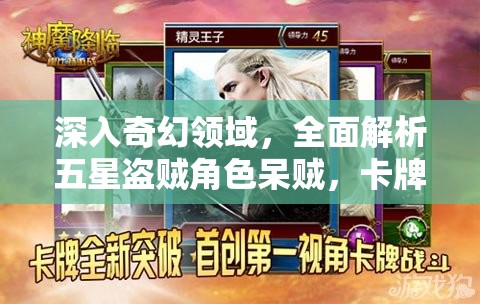 深入奇幻领域，全面解析五星盗贼角色呆贼，卡牌图鉴终极揭秘