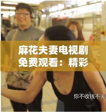 麻花夫妻电视剧免费观看：精彩剧情不容错过