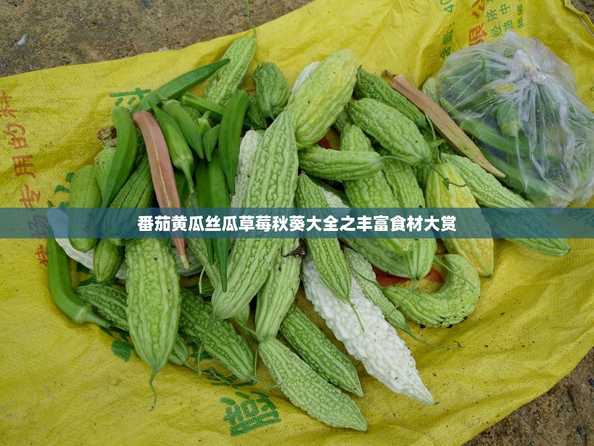 番茄黄瓜丝瓜草莓秋葵大全之丰富食材大赏