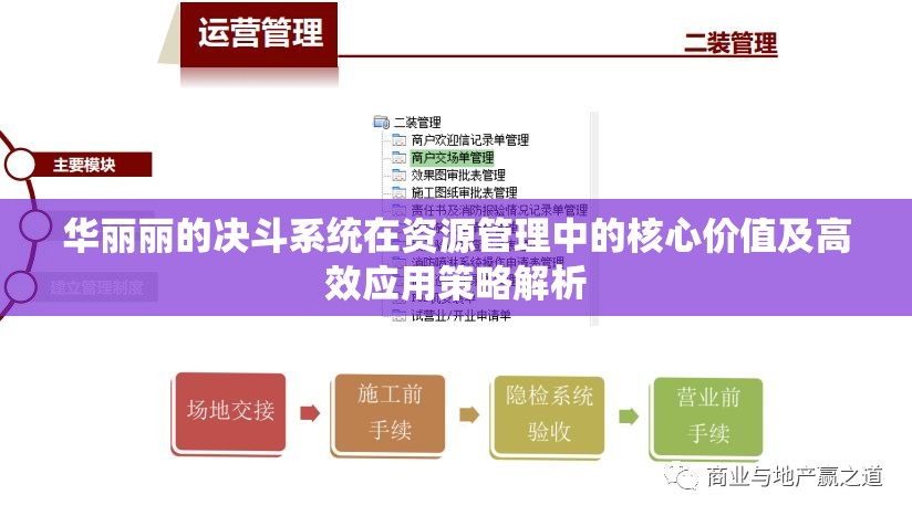 华丽丽的决斗系统在资源管理中的核心价值及高效应用策略解析