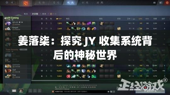 姜落柒：探究 JY 收集系统背后的神秘世界
