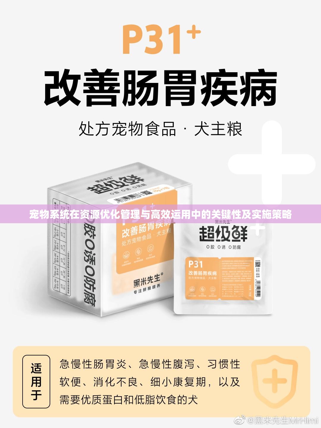 宠物系统在资源优化管理与高效运用中的关键性及实施策略