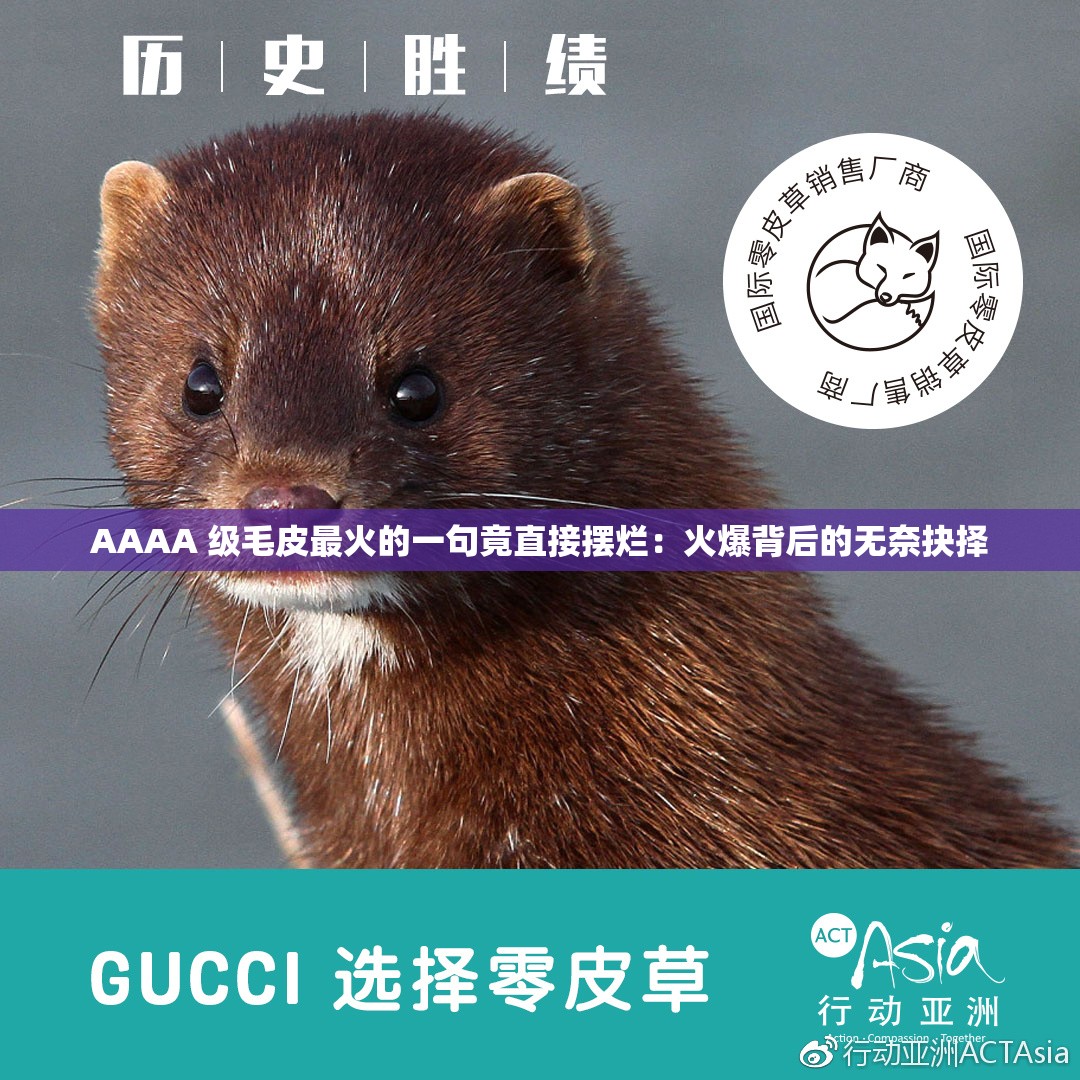 AAAA 级毛皮最火的一句竟直接摆烂：火爆背后的无奈抉择