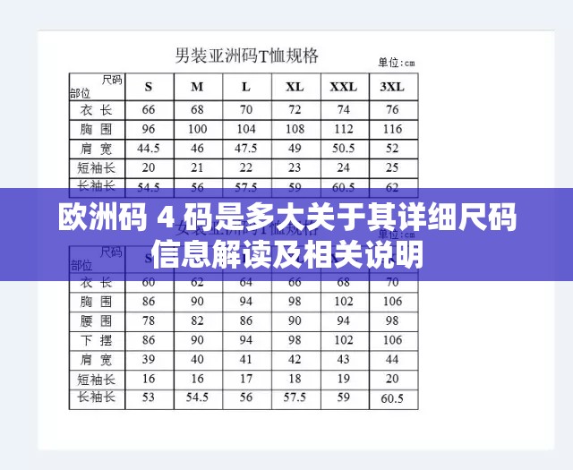 欧洲码 4 码是多大关于其详细尺码信息解读及相关说明