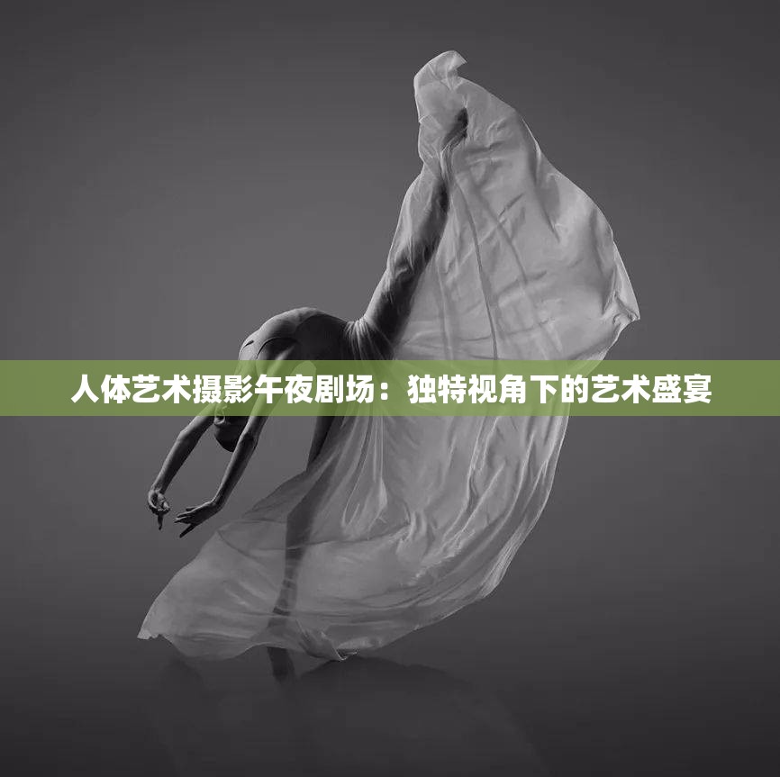 人体艺术摄影午夜剧场：独特视角下的艺术盛宴