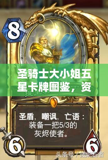 圣骑士大小姐五星卡牌图鉴，资源管理策略中的闪耀璀璨明珠