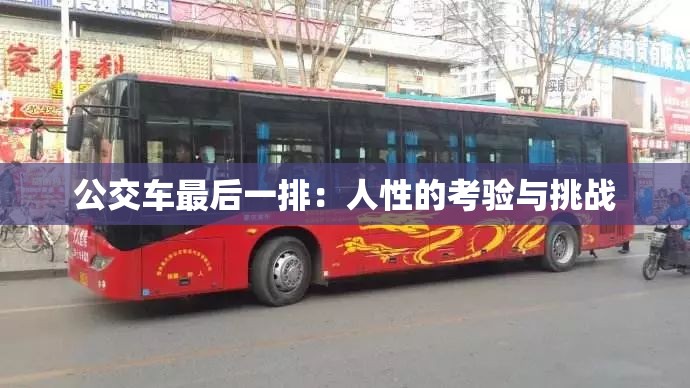 公交车最后一排：人性的考验与挑战