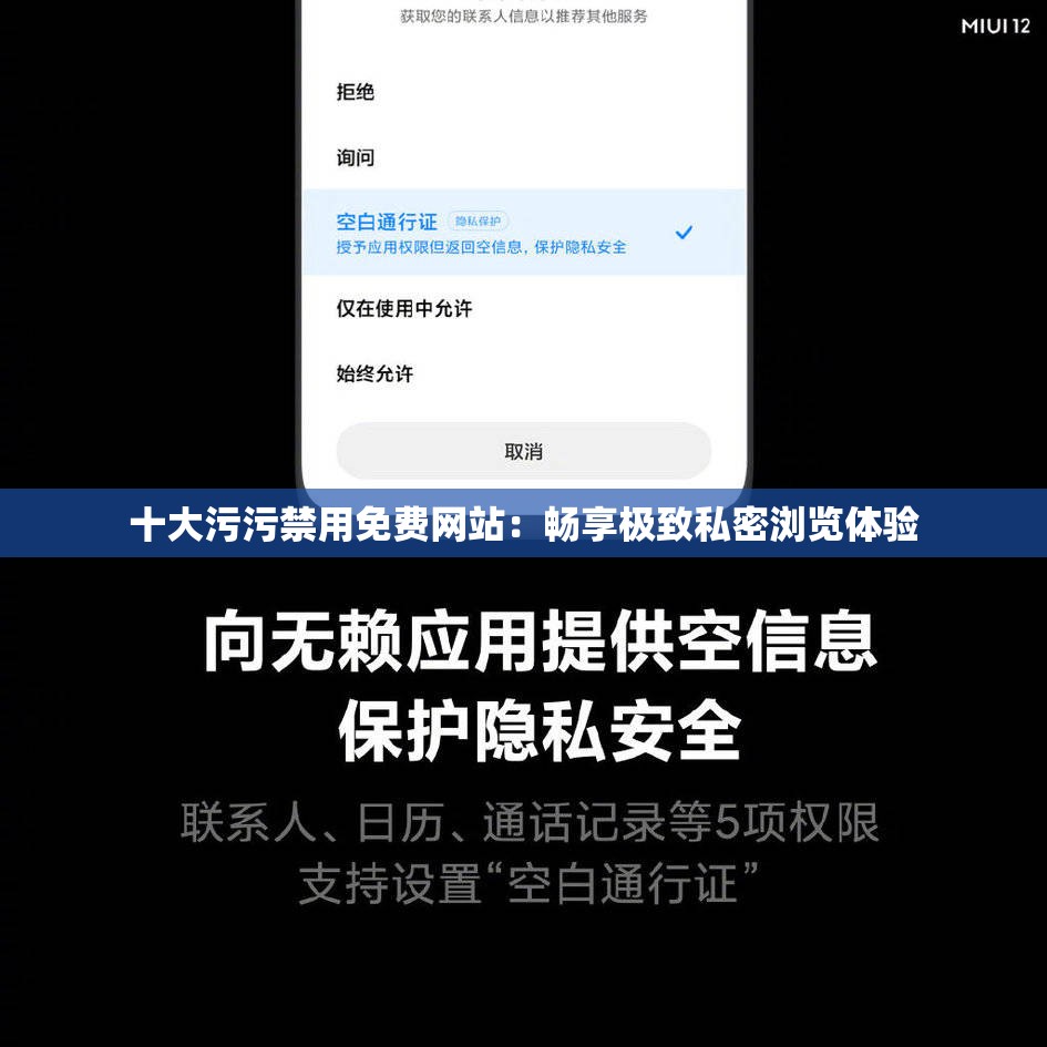 十大污污禁用免费网站：畅享极致私密浏览体验