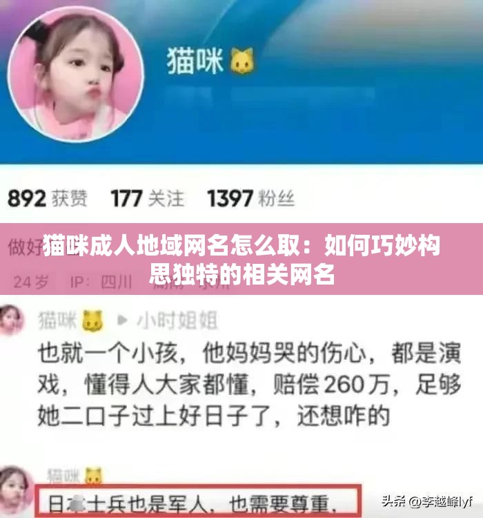 猫咪成人地域网名怎么取：如何巧妙构思独特的相关网名