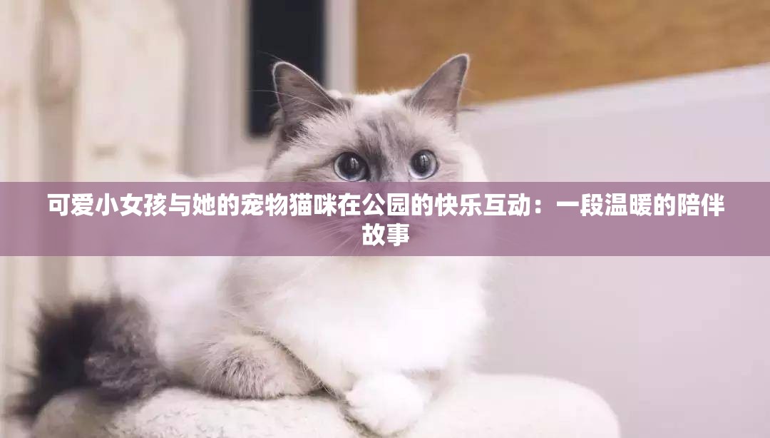 可爱小女孩与她的宠物猫咪在公园的快乐互动：一段温暖的陪伴故事