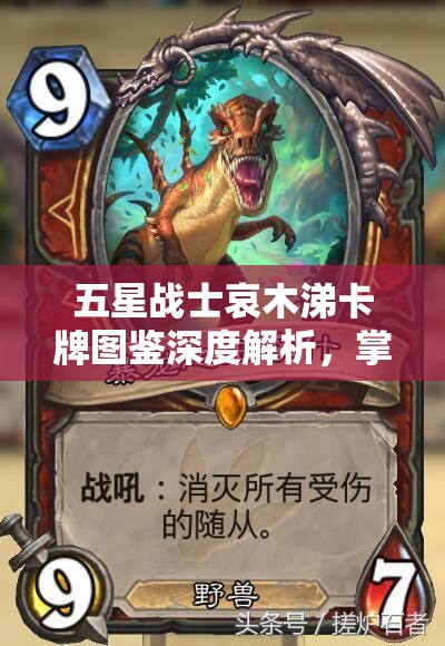 五星战士哀木涕卡牌图鉴深度解析，掌握资源管理的艺术与策略