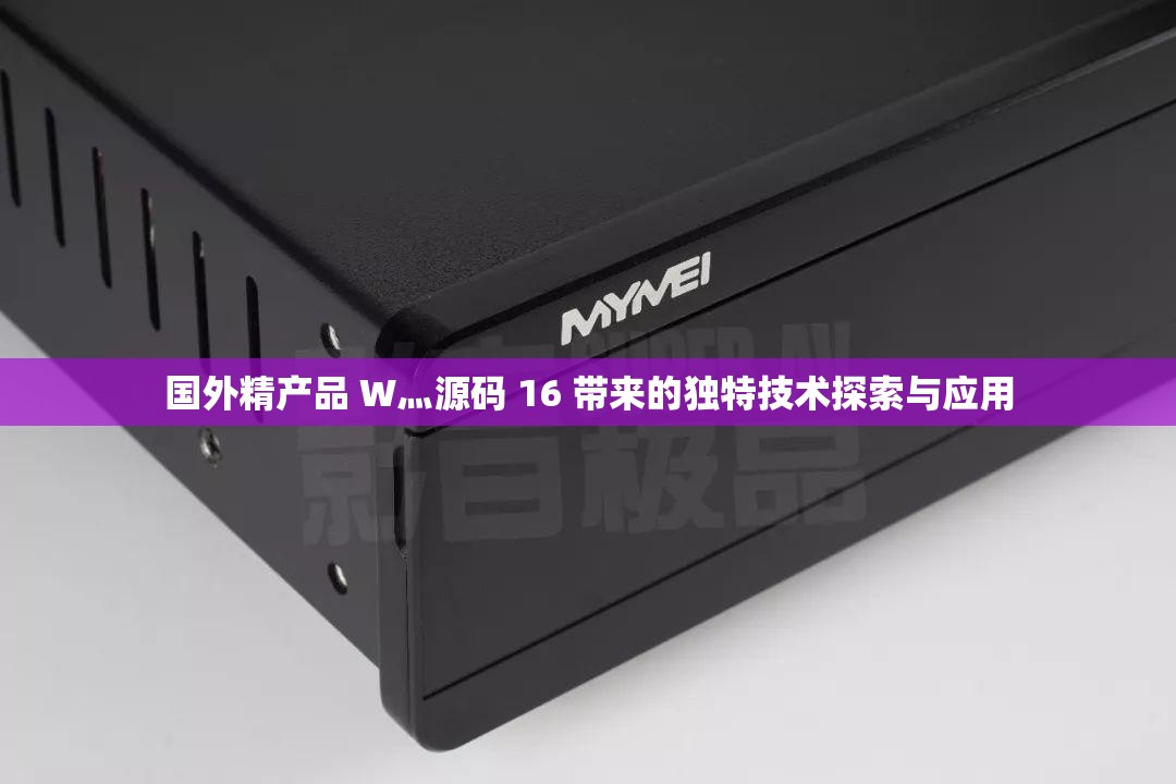 国外精产品 W灬源码 16 带来的独特技术探索与应用
