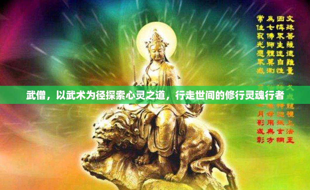 武僧，以武术为径探索心灵之道，行走世间的修行灵魂行者