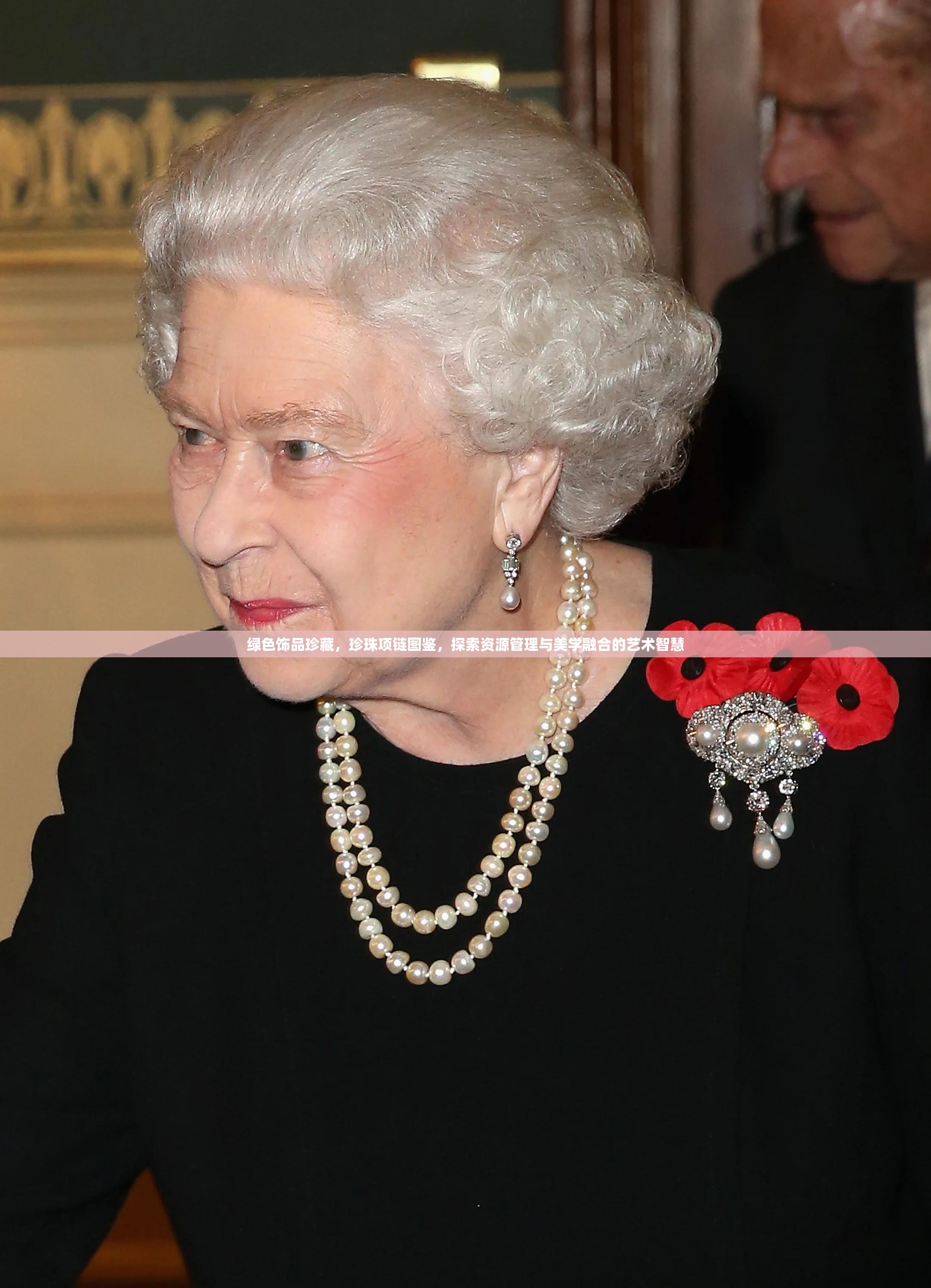 绿色饰品珍藏，珍珠项链图鉴，探索资源管理与美学融合的艺术智慧