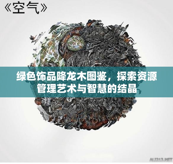 绿色饰品降龙木图鉴，探索资源管理艺术与智慧的结晶