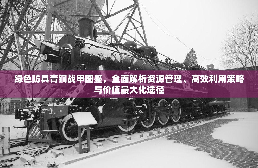绿色防具青铜战甲图鉴，全面解析资源管理、高效利用策略与价值最大化途径