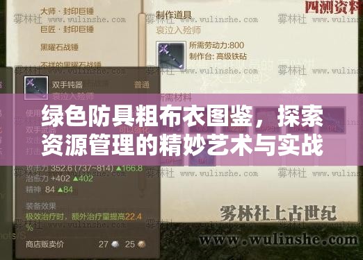 绿色防具粗布衣图鉴，探索资源管理的精妙艺术与实战策略