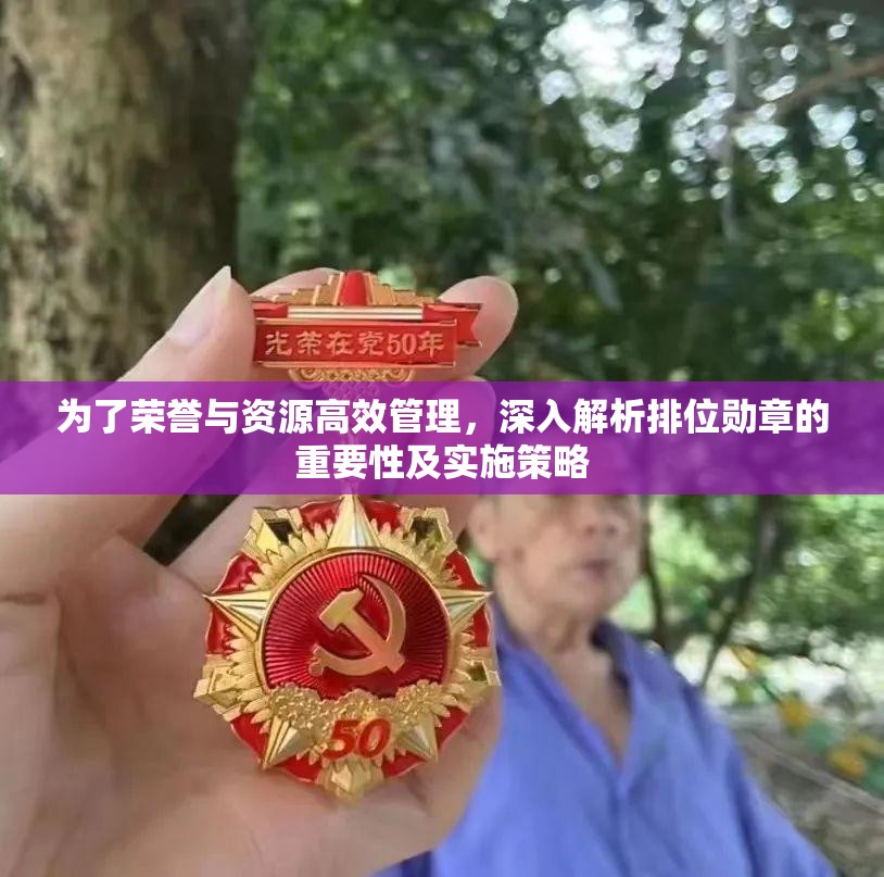为了荣誉与资源高效管理，深入解析排位勋章的重要性及实施策略