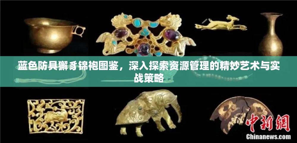 蓝色防具獬豸锦袍图鉴，深入探索资源管理的精妙艺术与实战策略