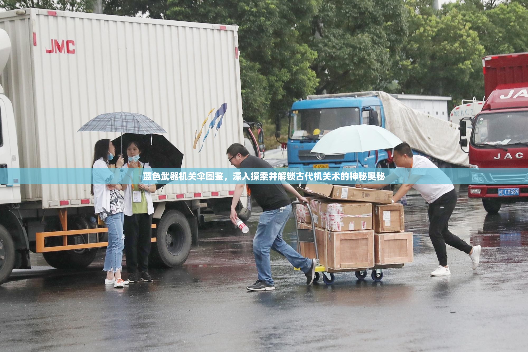 蓝色武器机关伞图鉴，深入探索并解锁古代机关术的神秘奥秘