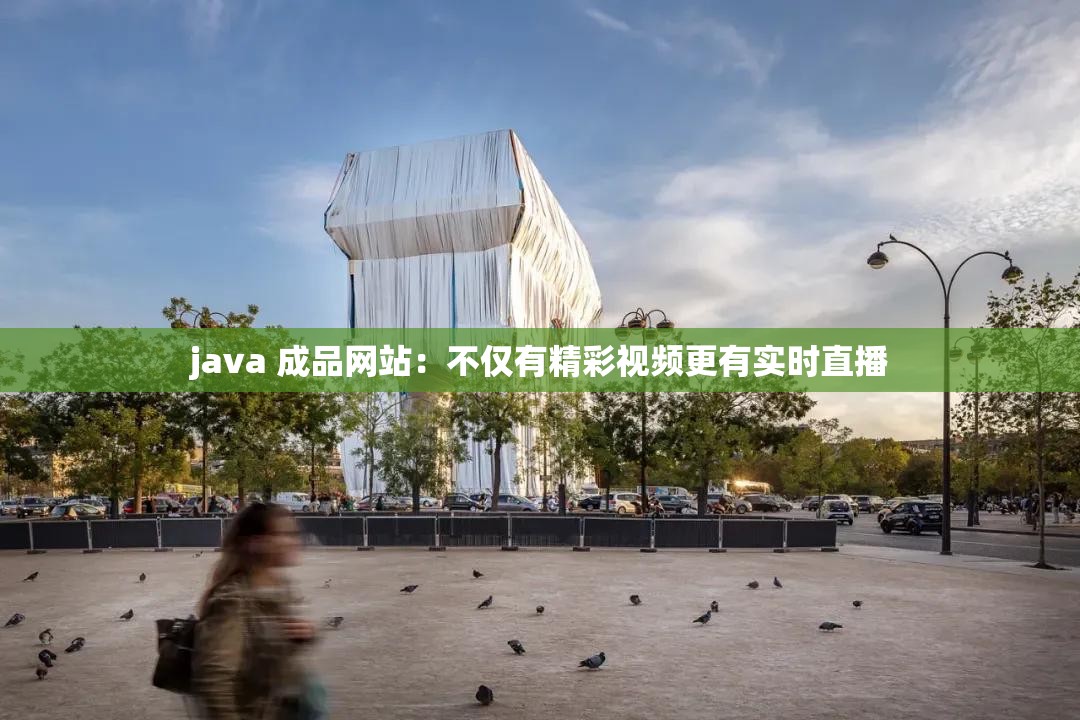 java 成品网站：不仅有精彩视频更有实时直播