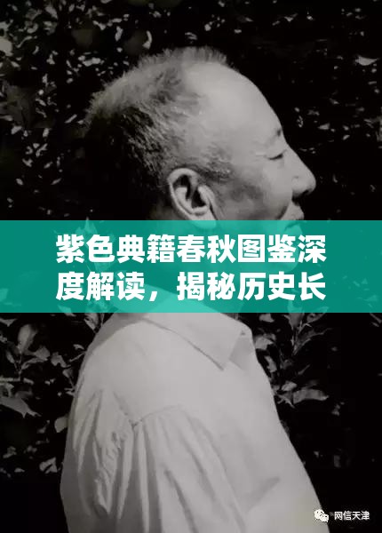 紫色典籍春秋图鉴深度解读，揭秘历史长河中尘封已久的秘密