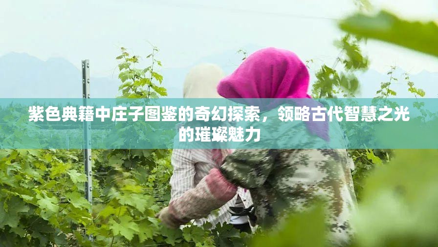 紫色典籍中庄子图鉴的奇幻探索，领略古代智慧之光的璀璨魅力