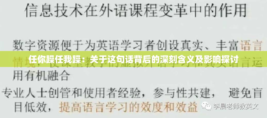 任你躁任我躁：关于这句话背后的深刻含义及影响探讨