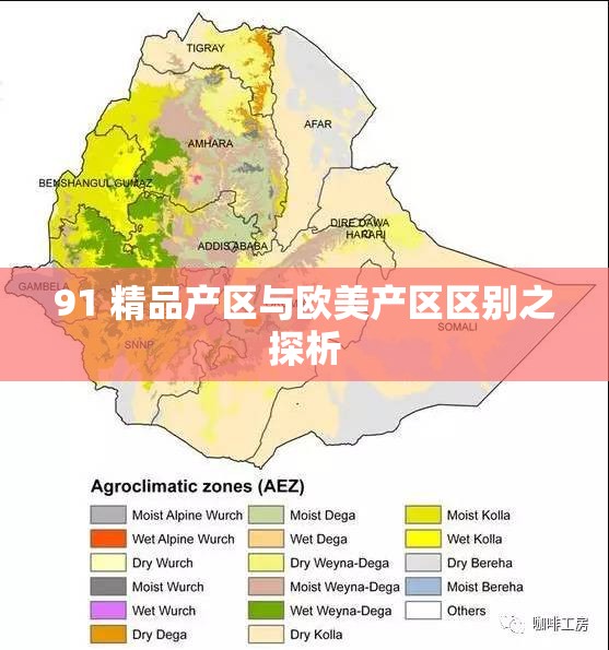 91 精品产区与欧美产区区别之探析