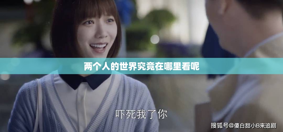 两个人的世界究竟在哪里看呢