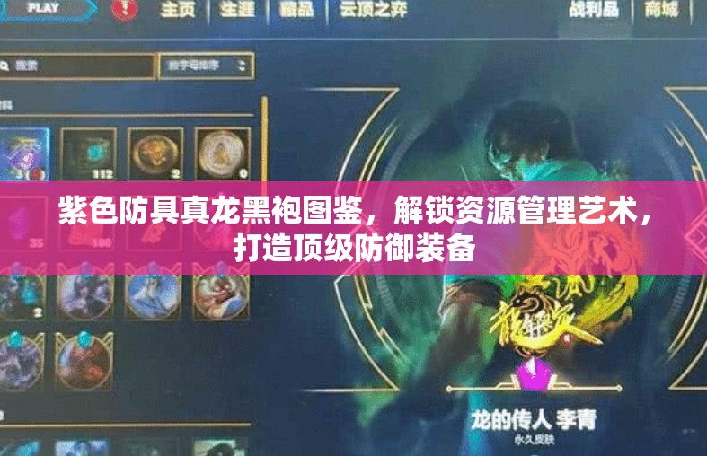紫色防具真龙黑袍图鉴，解锁资源管理艺术，打造顶级防御装备
