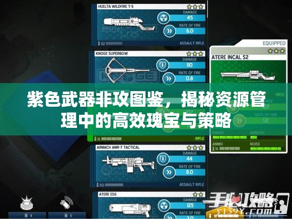 紫色武器非攻图鉴，揭秘资源管理中的高效瑰宝与策略